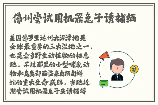 大发1分快三平台